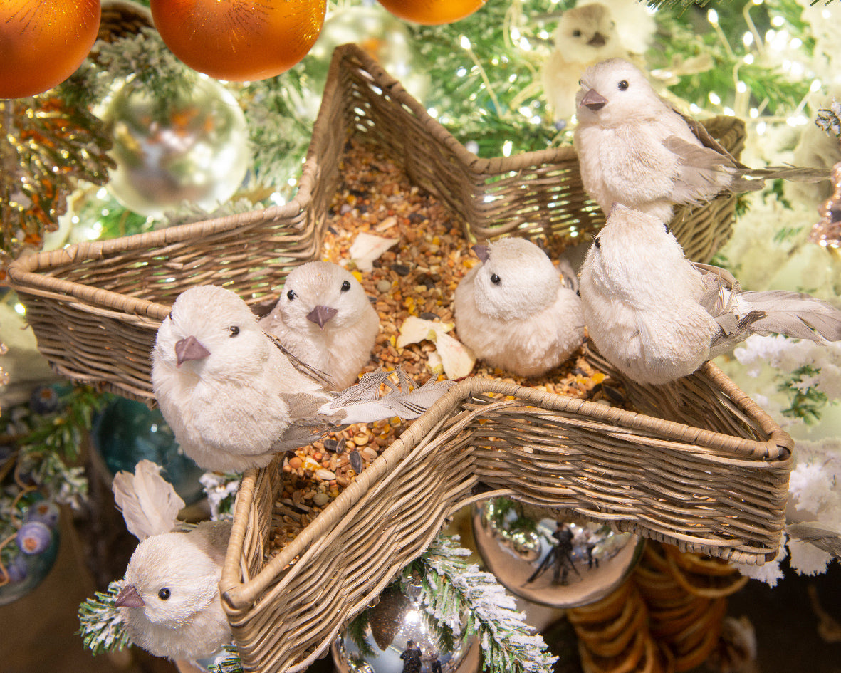 Bird polyester 455552