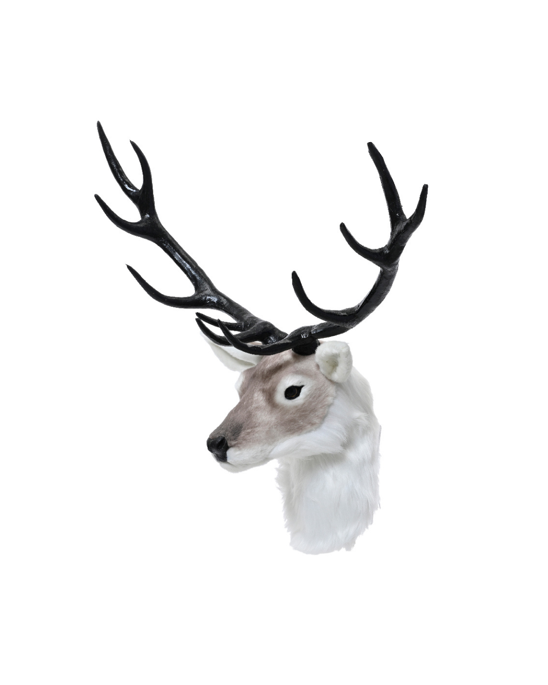Deerhead