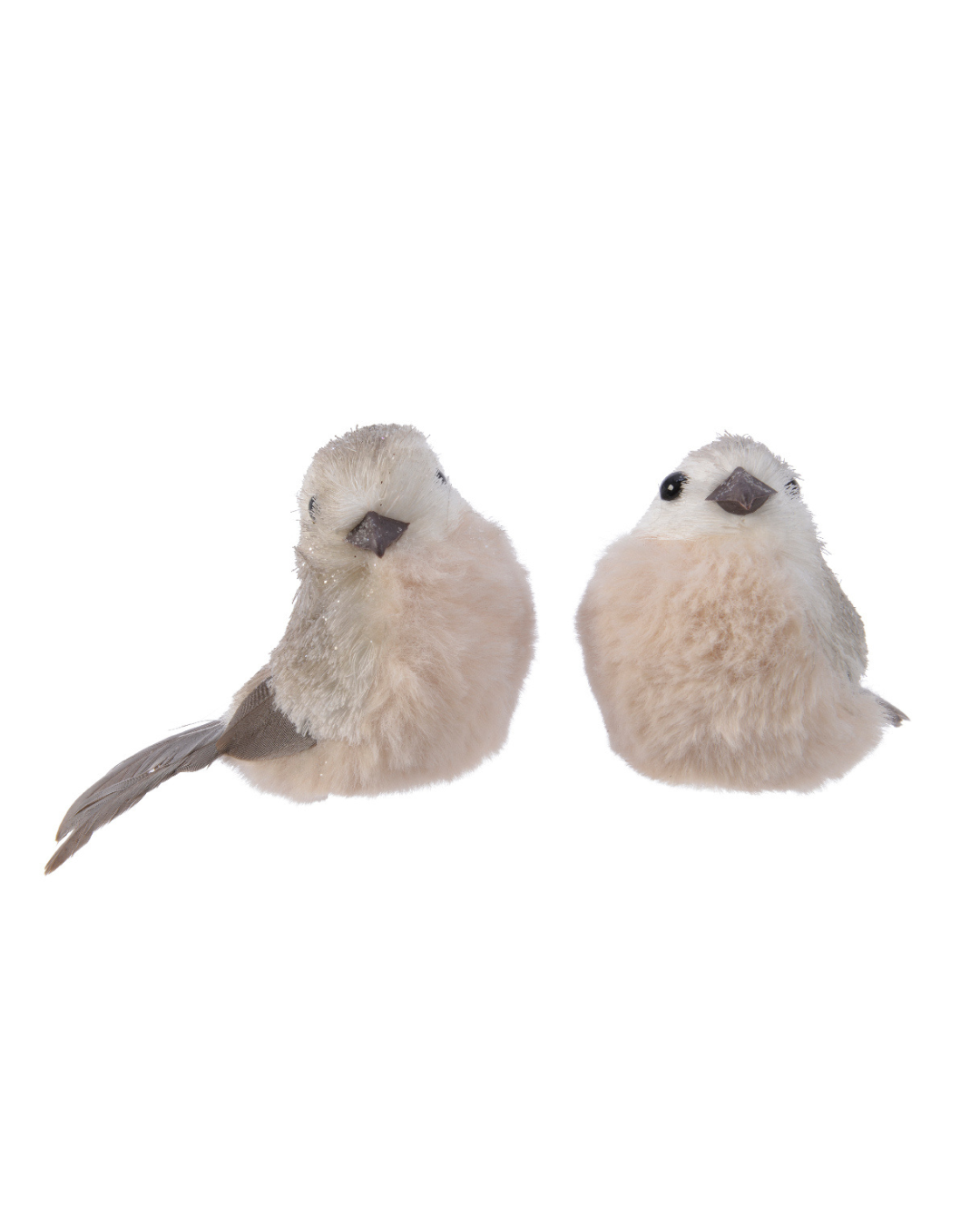 Bird polyester 455552
