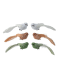 Bird foam 729299