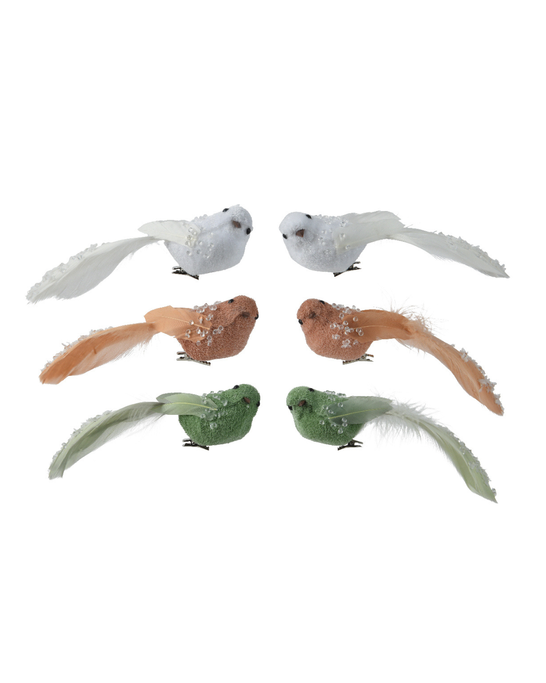 Bird foam 729299