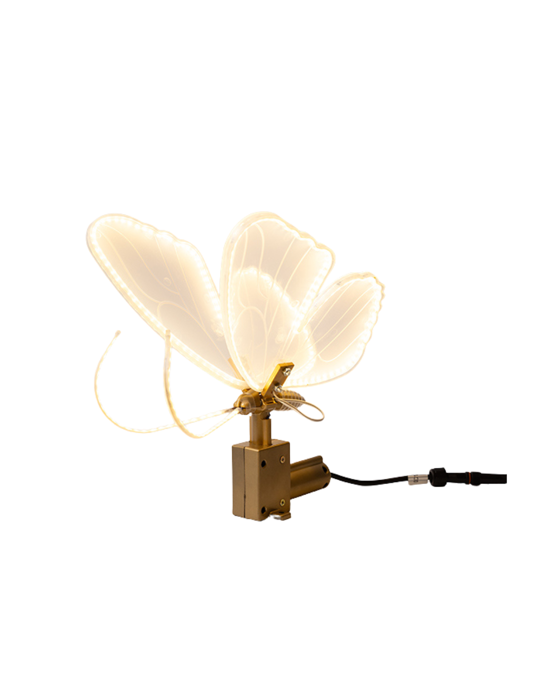 LED Lighted Butterfly with Motion
