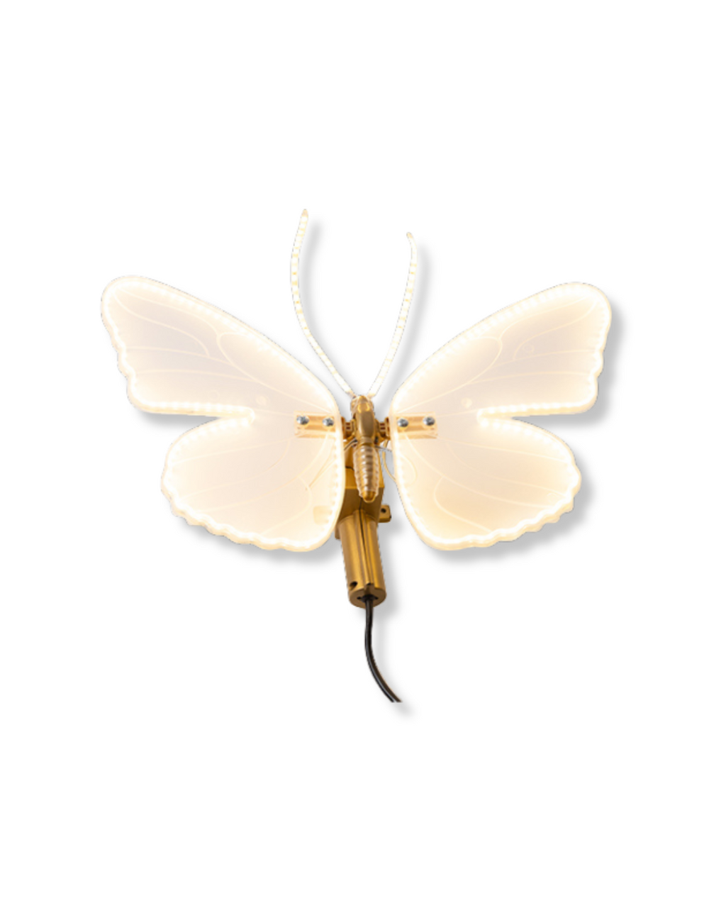 LED Lighted Butterfly with Motion