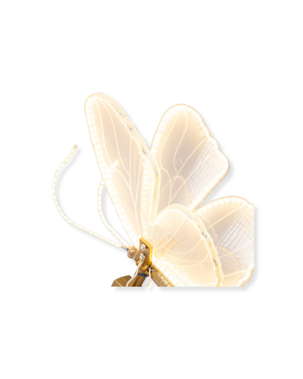 LED Lighted Butterfly with Motion