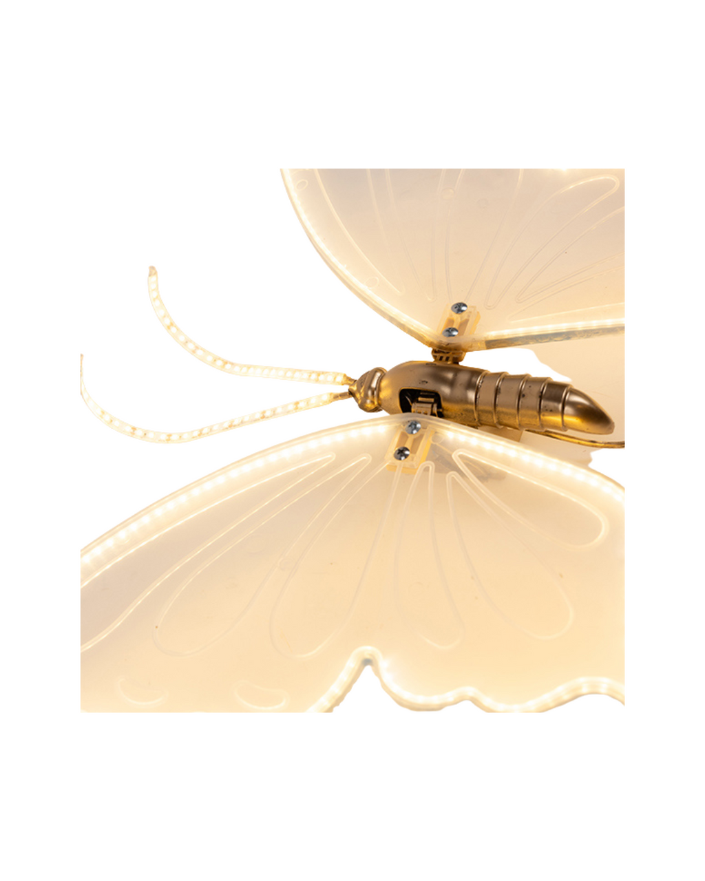 LED Lighted Butterfly