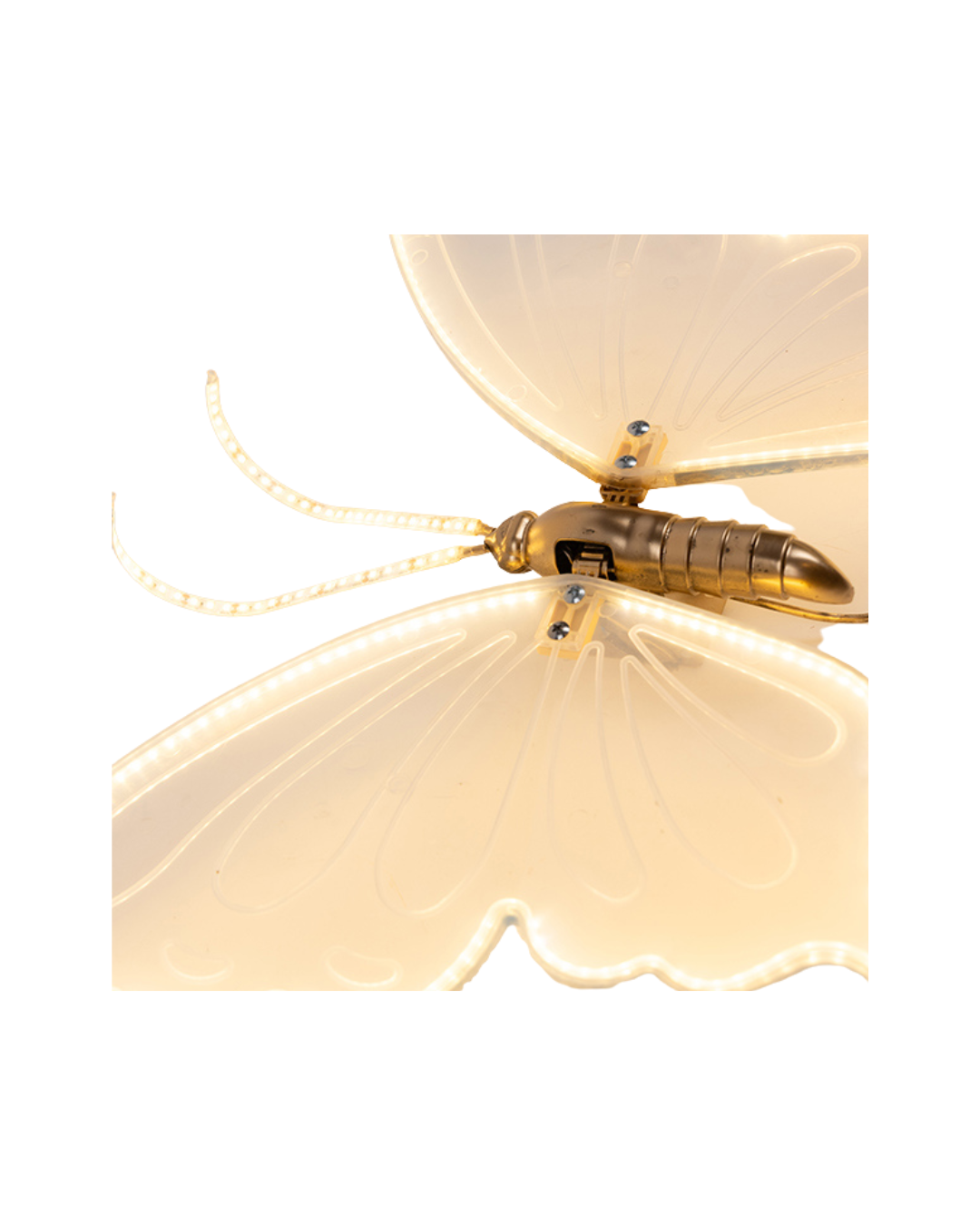 LED Lighted Butterfly